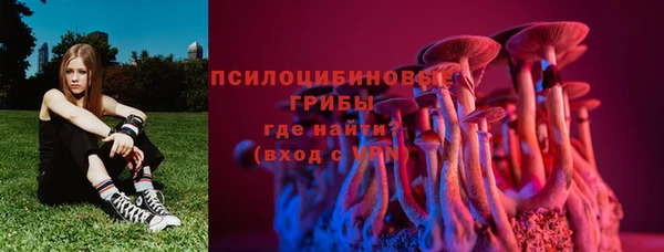 альфа пвп Гусев