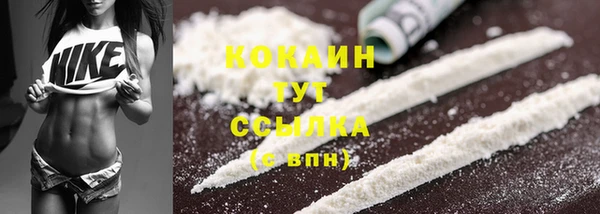 альфа пвп Гусев