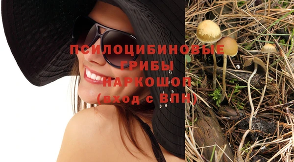 спайс Горно-Алтайск