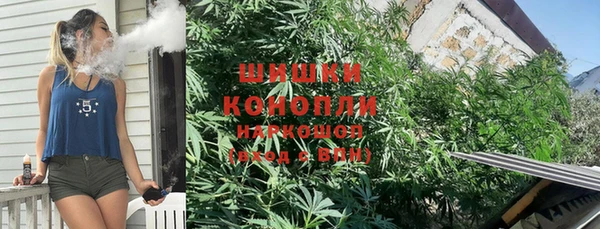 альфа пвп Гусев