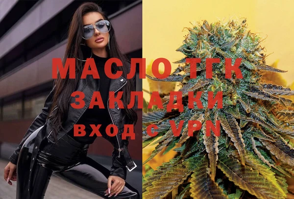 альфа пвп Гусев
