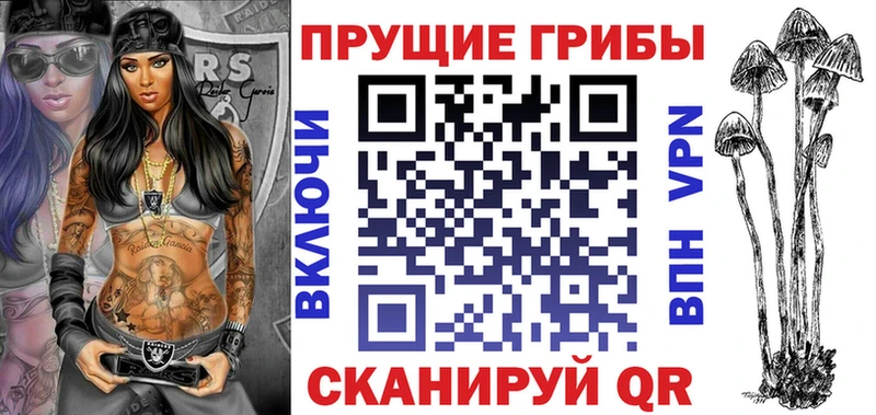 Галлюциногенные грибы Cubensis  где купить наркотик  Сенгилей 