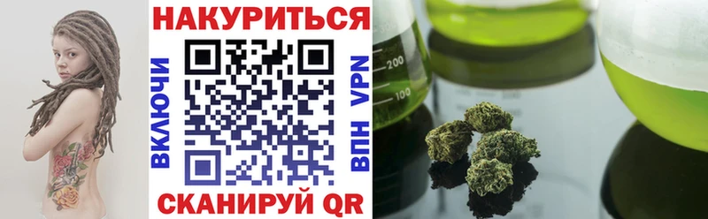 Шишки марихуана гибрид Сенгилей